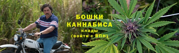амф Сатка