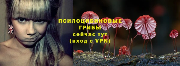 амф Сатка