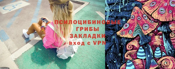 ешки Ростов