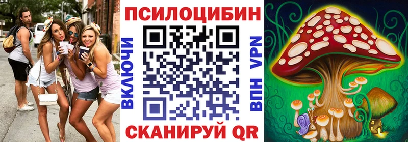Галлюциногенные грибы прущие грибы  купить  сайты  Темников 